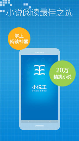 小说王