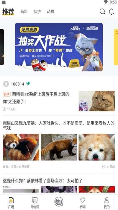 Super Zoo