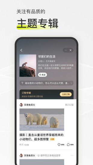 迷岛app最新版