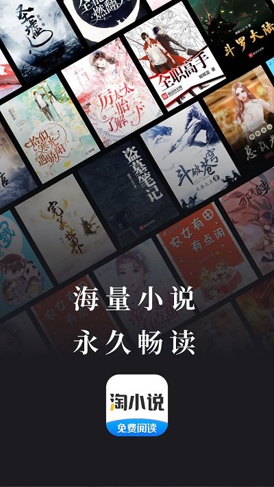 淘小说 会员版