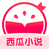 西瓜小说app
