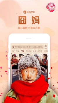 西瓜视频app软件