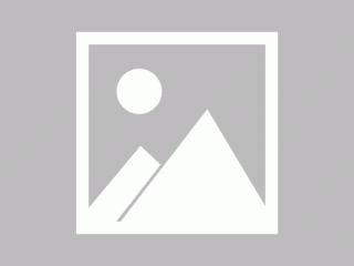 菲尔fil币官网最新消息_filcoin币今日最新价格