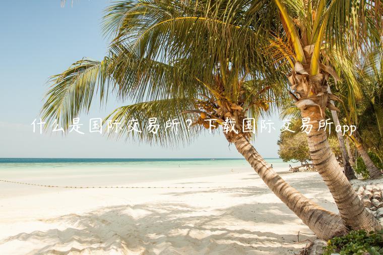 什么是国际交易平台？下载国际交易平台app-第1张图片-欧意下载