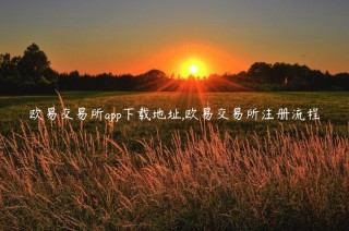 欧意交易平台app下载地址,欧意交易平台注册流程