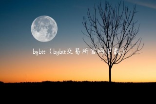 bybit（bybit交易平台官网下载）